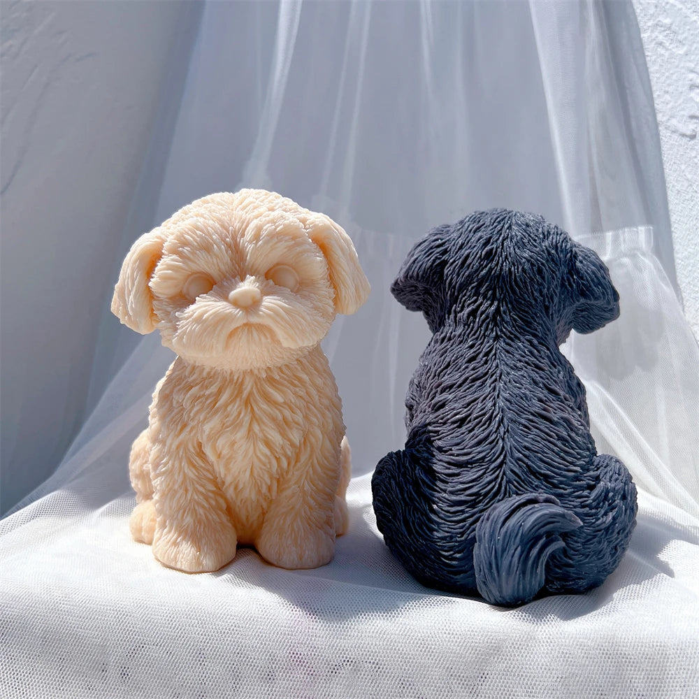 Front and rear puppy views with long fur and a curled tail