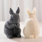 Front and rear views of fur-textured seated rabbits