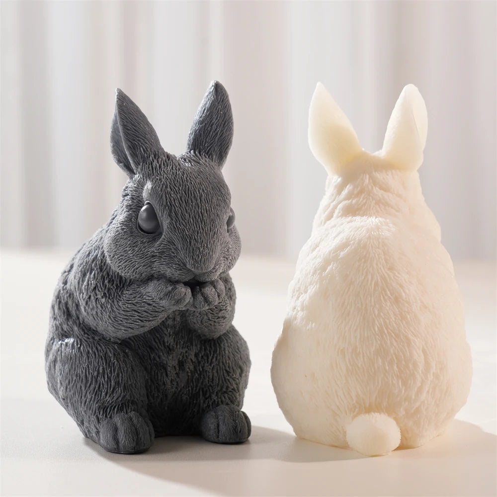 Front and rear views of fur-textured seated rabbits