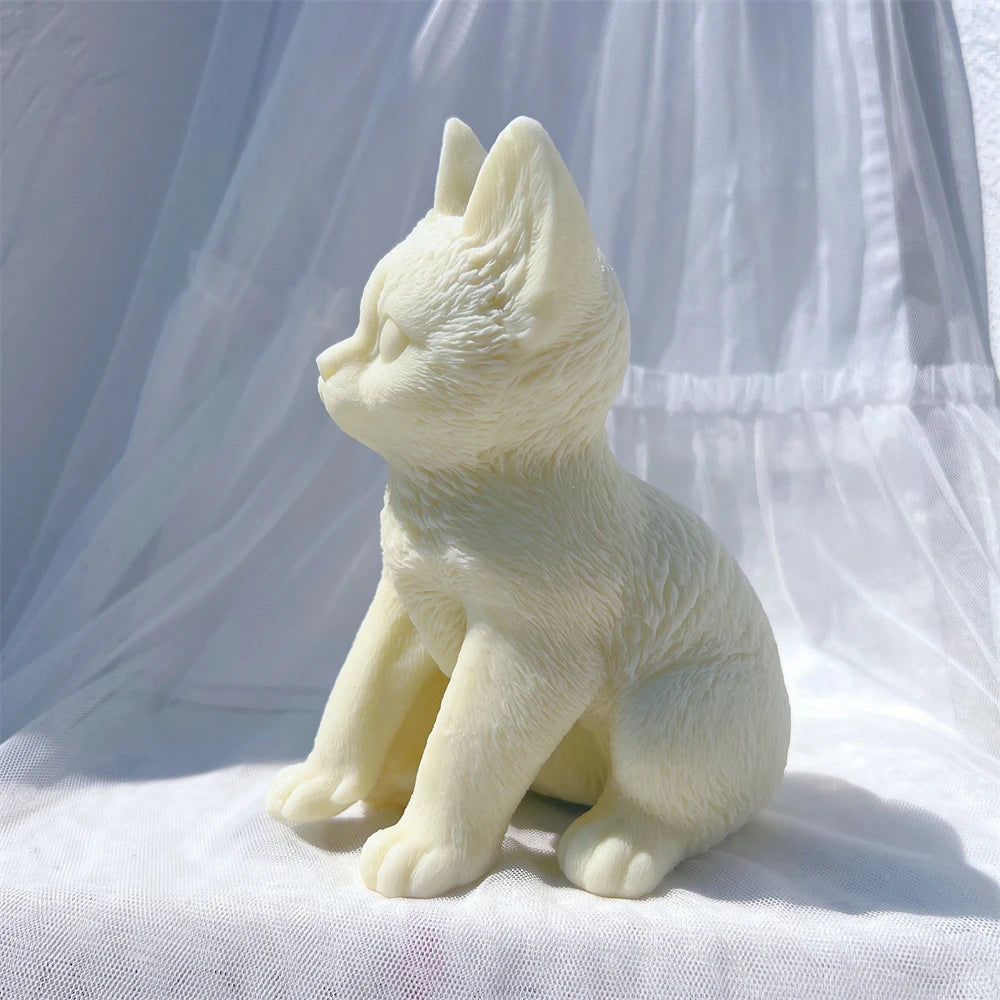 Side profile of seated cat showing curved back and ears