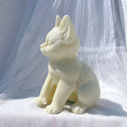 Side profile of seated cat showing curved back and ears
