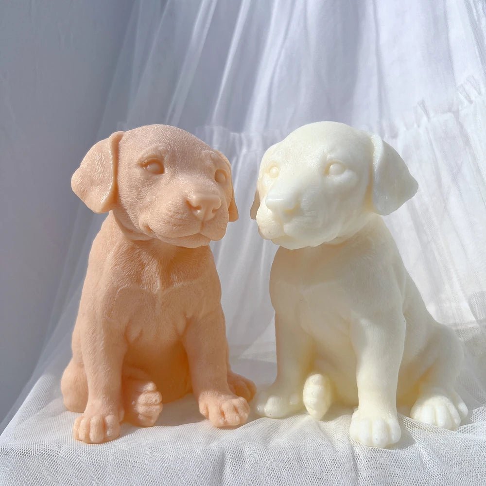 Front view of two short-coat puppy samples