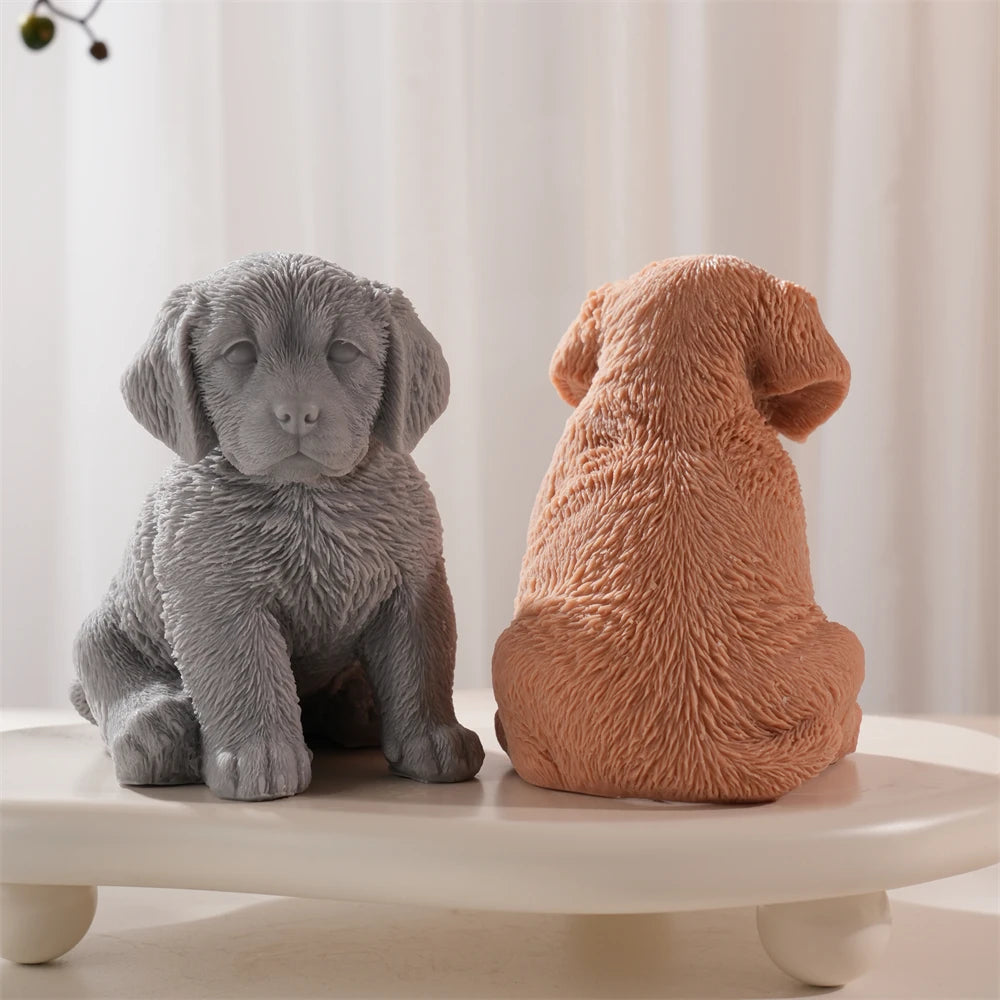 Front and back puppy views showing detailed shoulder and back fur texture