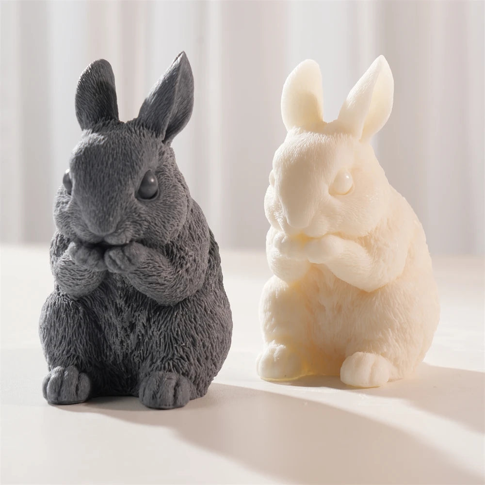 Front view of rabbit eyes muzzle and raised paws