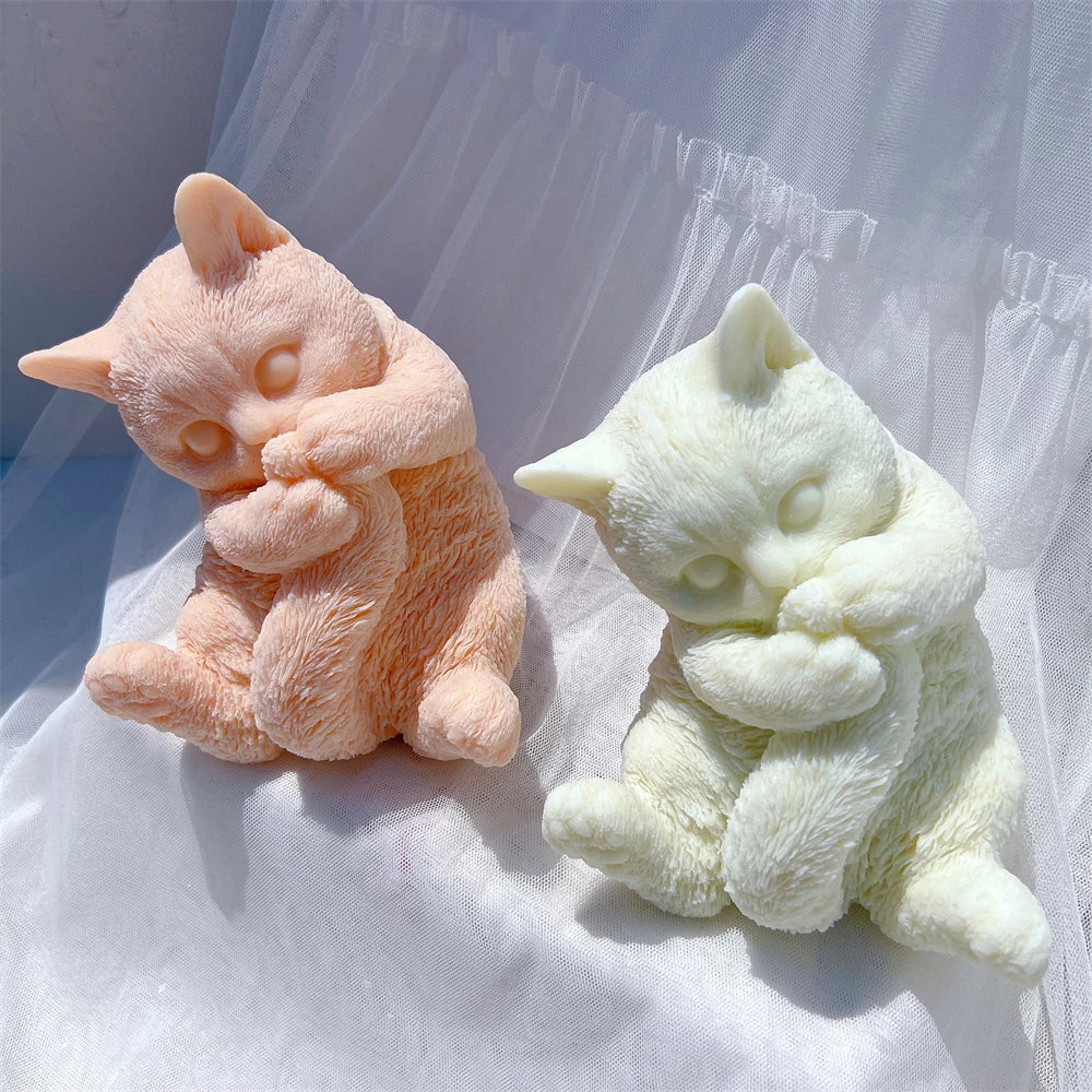 Front view of seated cats with fluffy tails across their chests