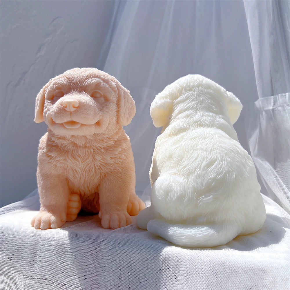 Shaggy puppy front beside a fur-textured rear view