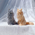 Pair of fluffy seated cats with sweeping tails