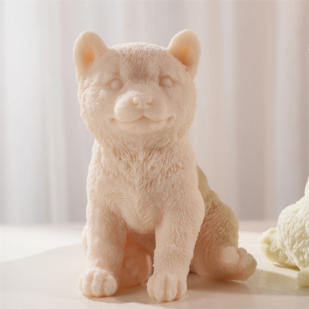Close-up of the sitting Shiba Inu face and front paws