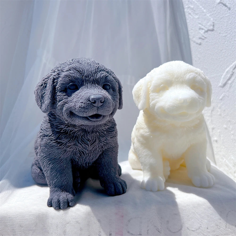 Black and cream shaggy puppies with slightly open mouths