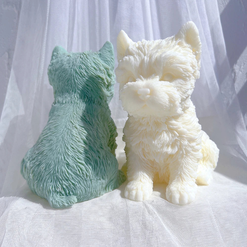 Rear of green terrier casting beside front-facing cream dog showing coat texture