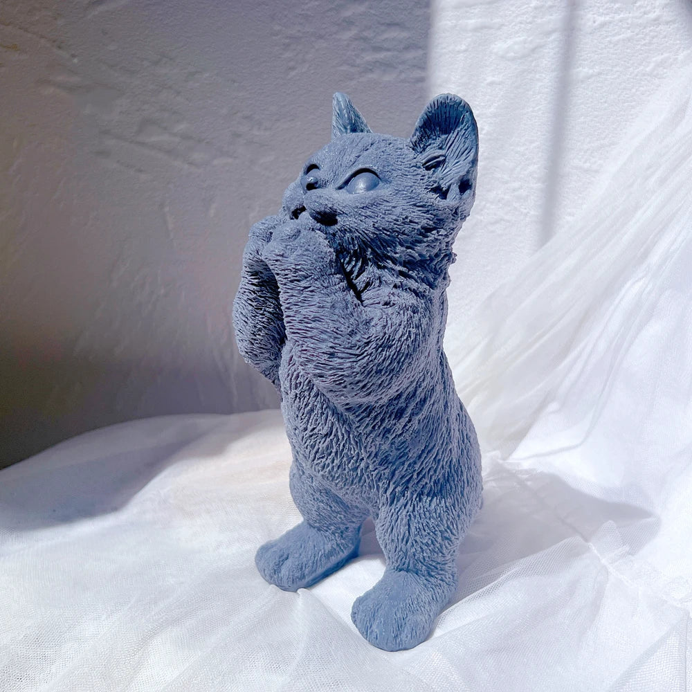 Side view of blue standing cat with paws raised near its mouth