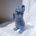 Side view of blue standing cat with paws raised near its mouth