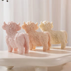 Side and front views of three standing Highland cows