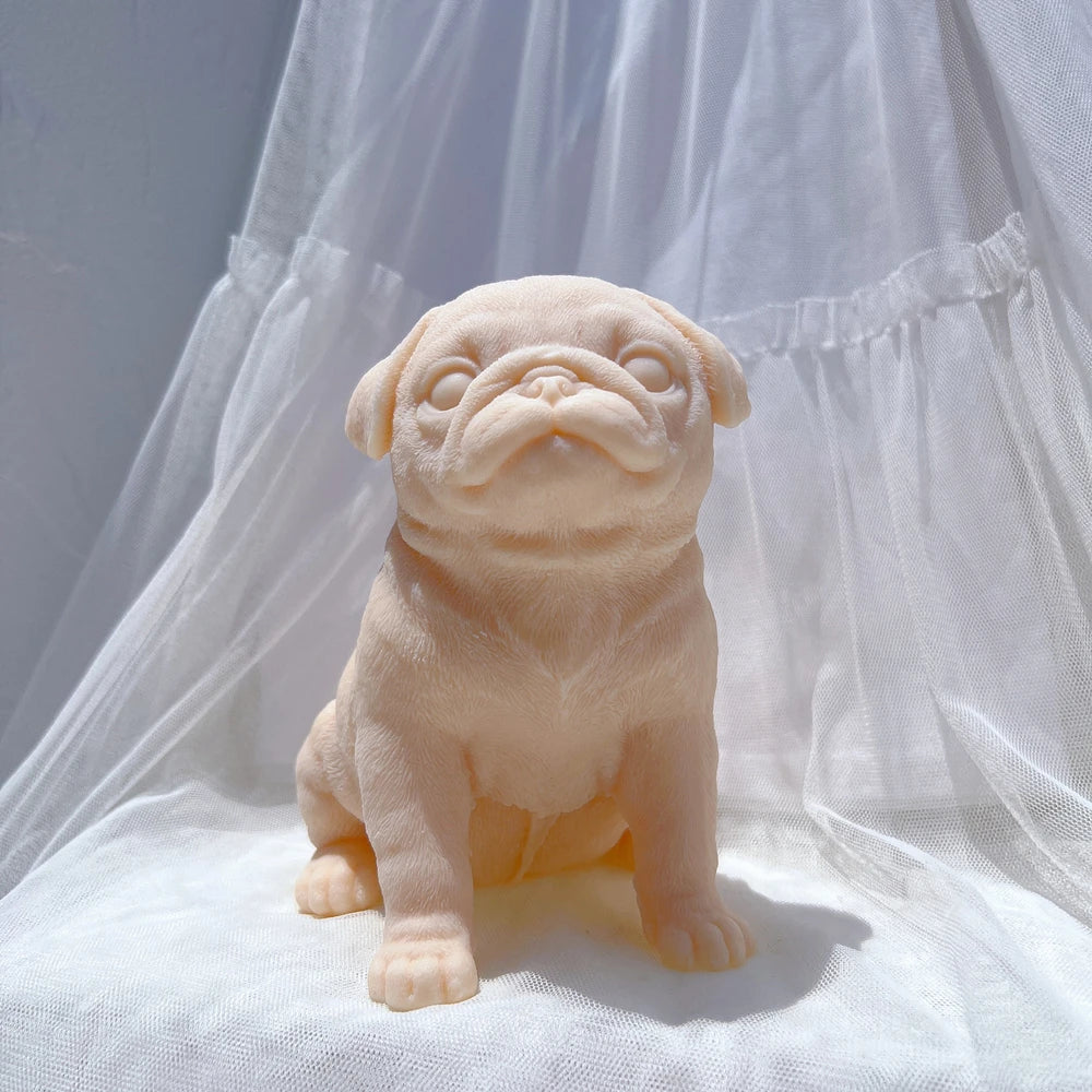 Front view of a peach sitting pug