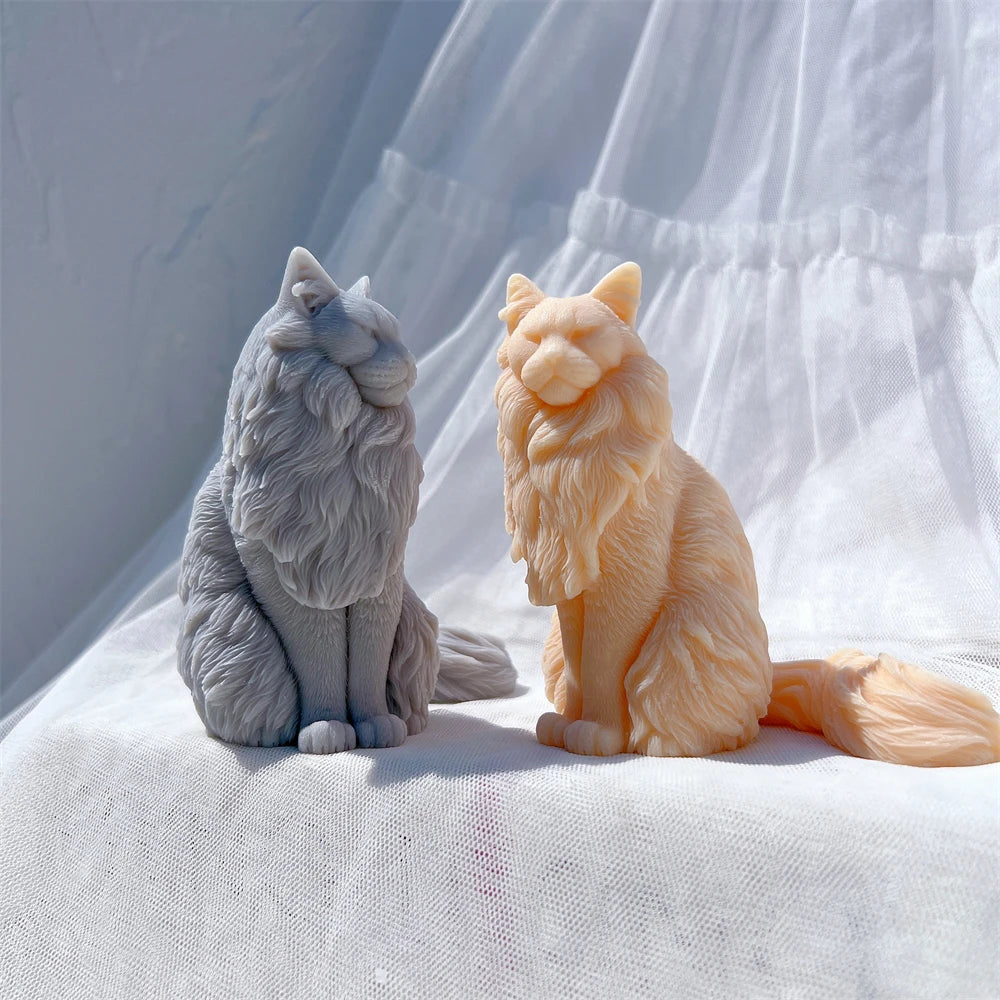 Angled view of seated cats with chest ruffs