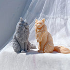 Angled view of seated cats with chest ruffs