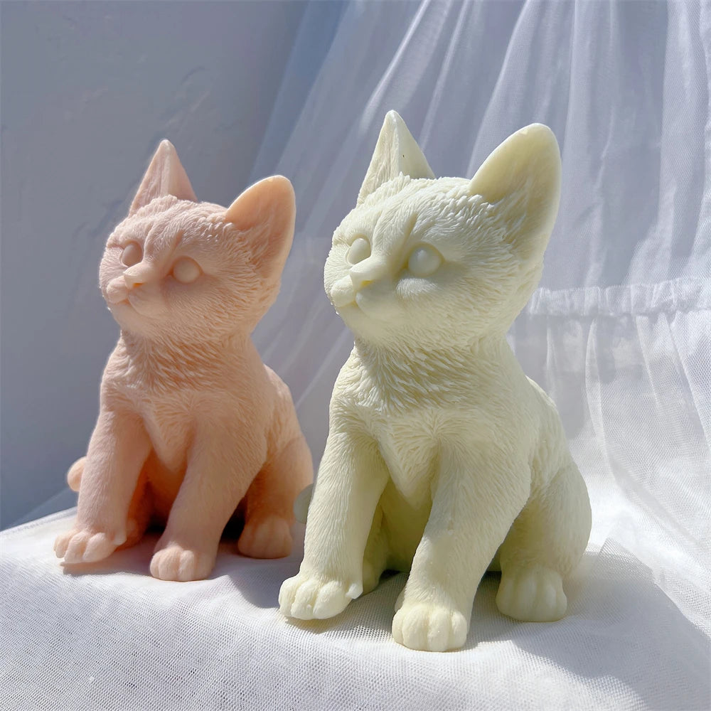 Angled view of two alert sitting cats with textured coats