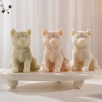 Three Shiba Inu candle samples on a small display stand