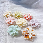 Pastel poinsettia-style wax flowers with layered pointed petals