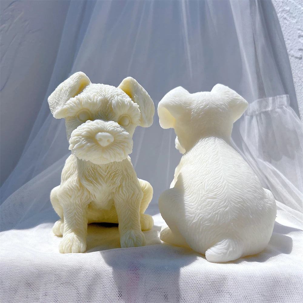 White puppy casting side view with textured fur and short legs