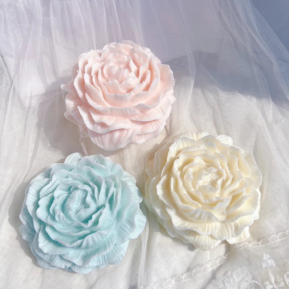 Three open peony flowers with curled centers