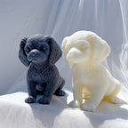 Front view of short-muzzled puppies with textured fur