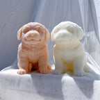 Two seated shaggy dogs with rounded floppy ears