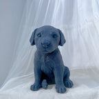 Dark blue seated puppy casting with short ears and small paws