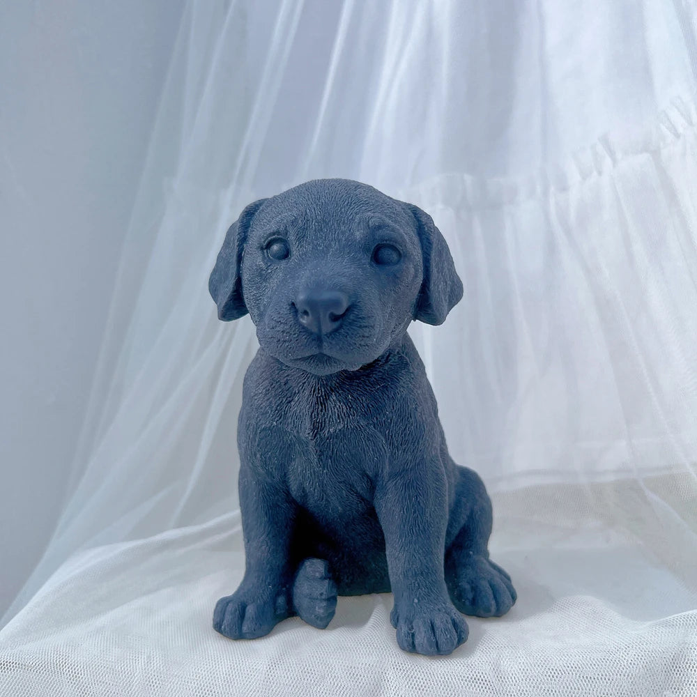 Dark blue seated puppy casting with short ears and small paws