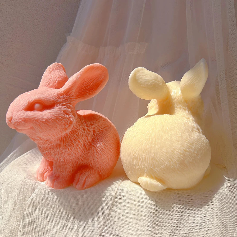 Rabbit front profile beside a rounded rear view