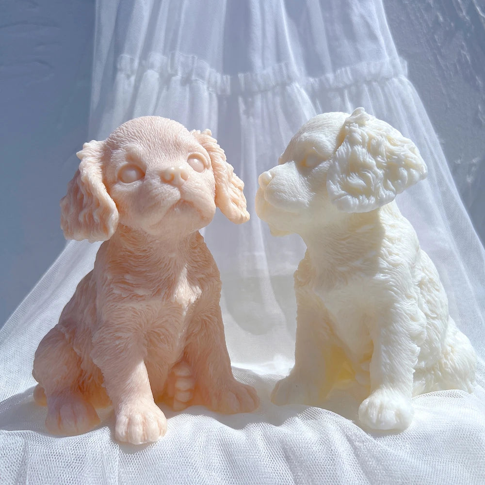 Front and side puppy views showing wavy ears and textured fur