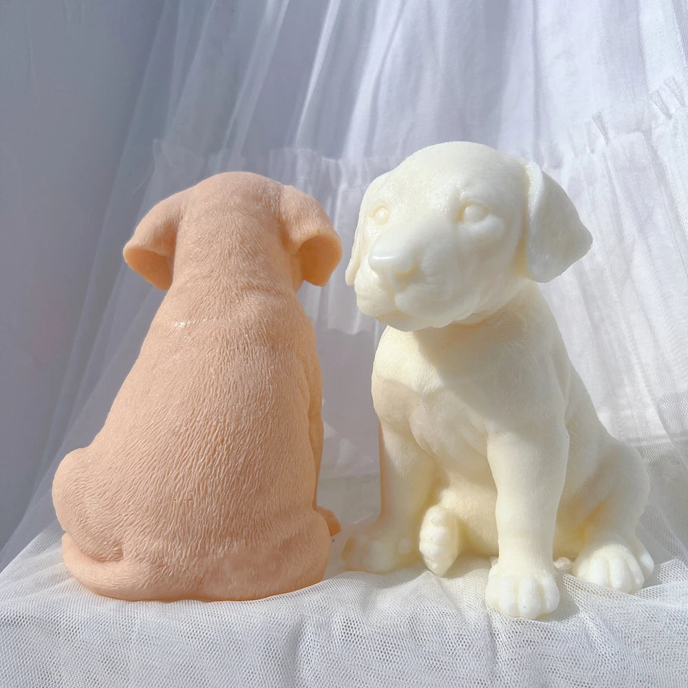 Rear and front puppy views showing coat texture and seated posture