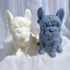 Front view of cream and gray wrinkled bulldogs