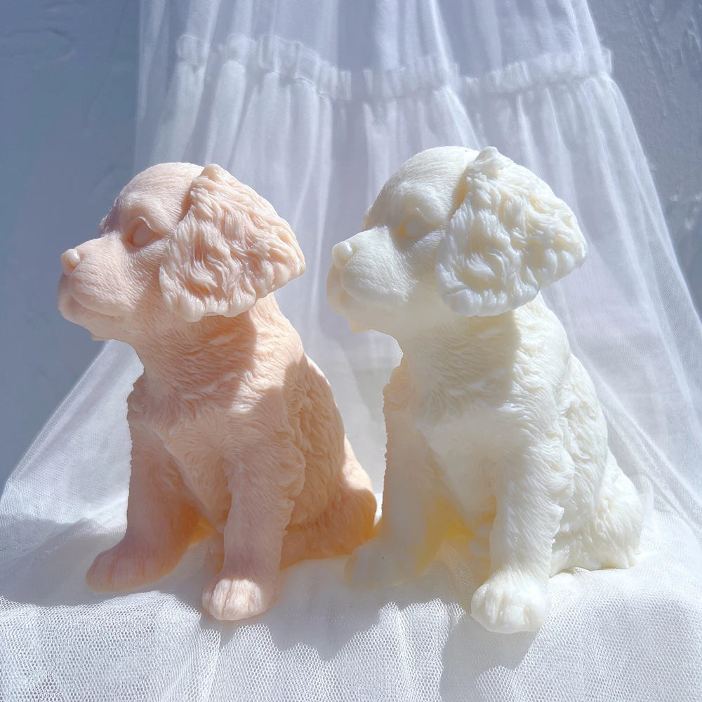 Side views of the wavy-ear puppy showing its muzzle and sitting pose