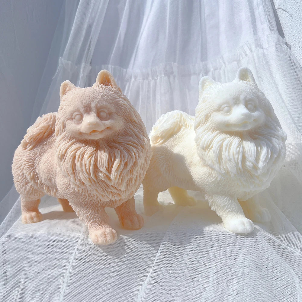 Standing Pomeranian castings showing their fluffy chest ruffs