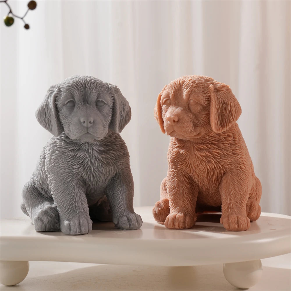 Front view of gray and brown retriever-style puppy castings with floppy ears