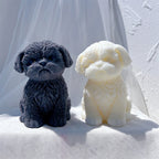 Two seated puppy samples with textured facial fur