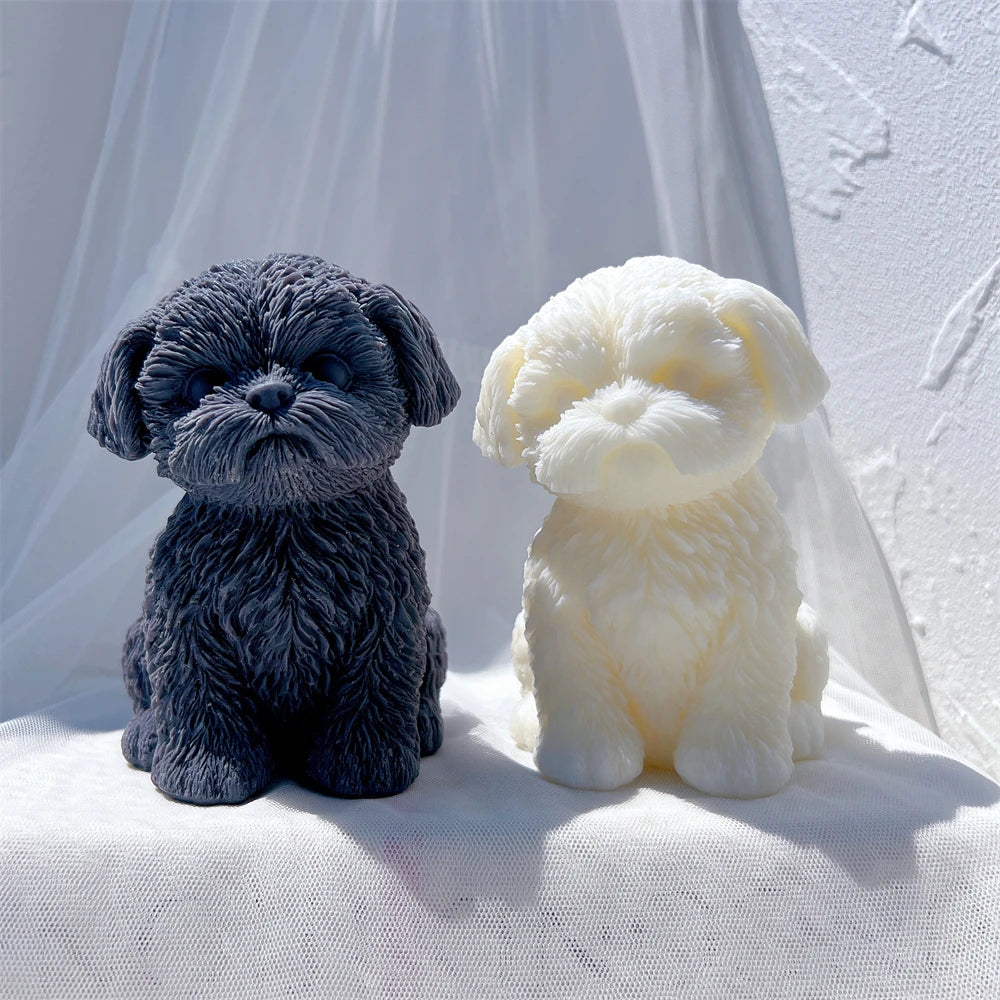Two seated puppy samples with textured facial fur