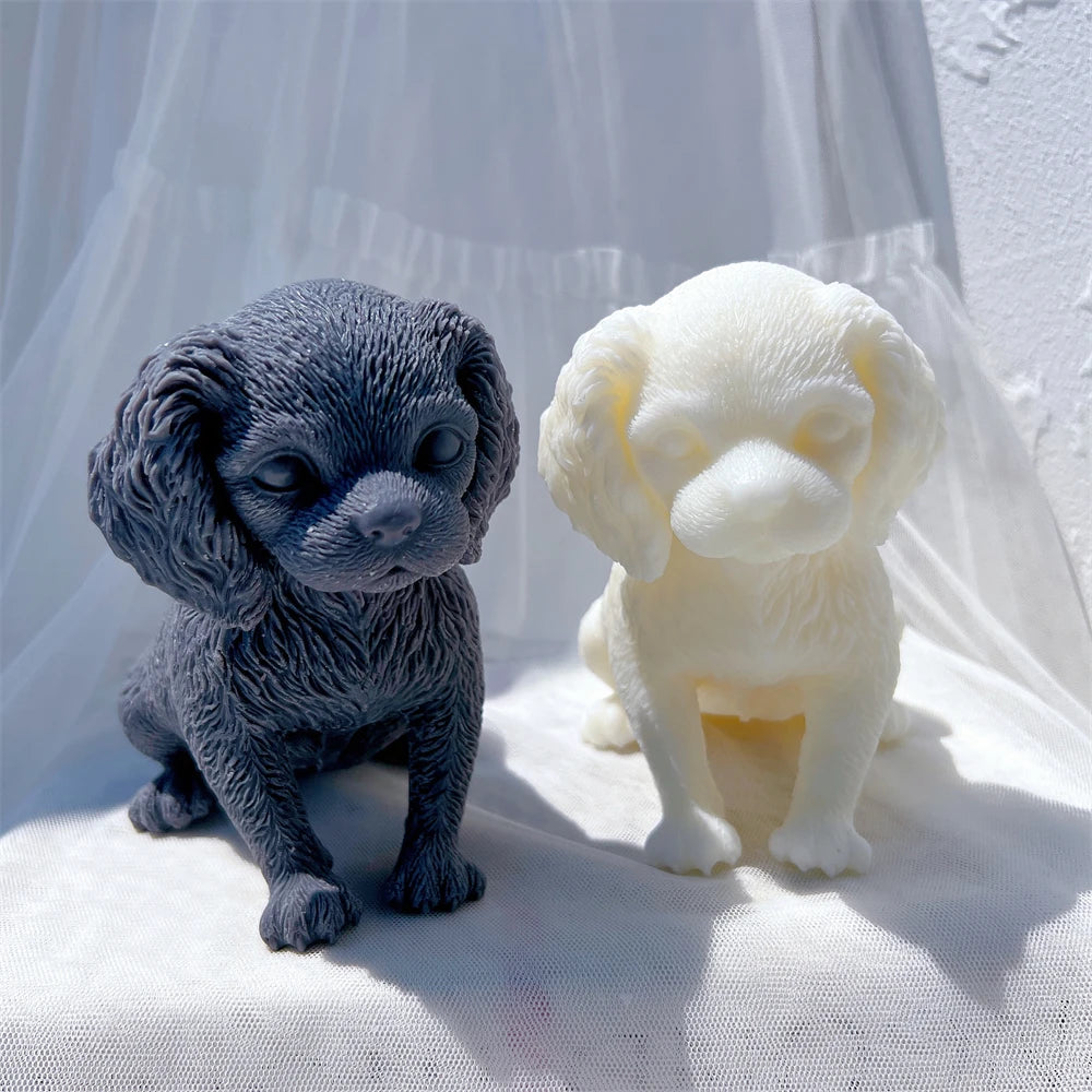 Angled puppies showing broad paws and rounded cheeks