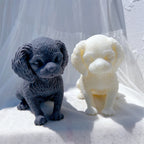 Angled puppies showing broad paws and rounded cheeks