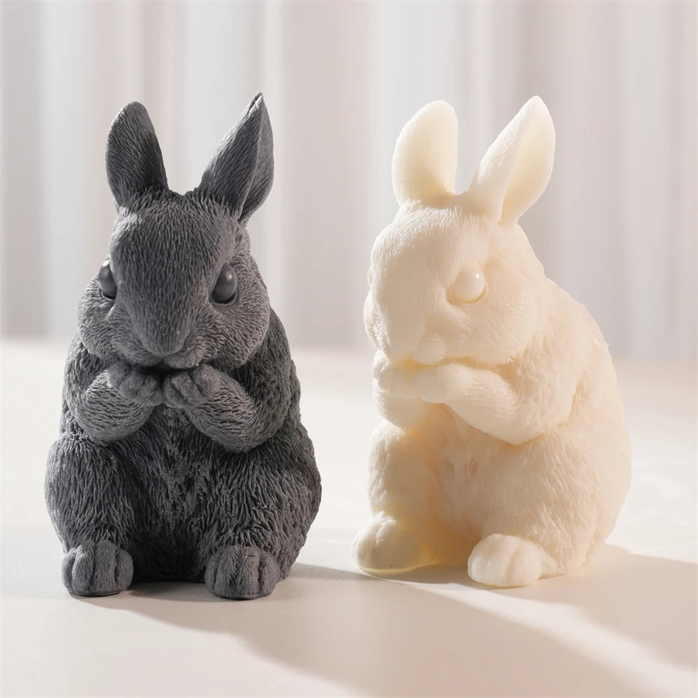 Black and cream rabbits with raised front paws