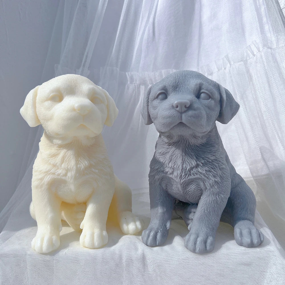 Front view of broad-muzzled puppies with short floppy ears