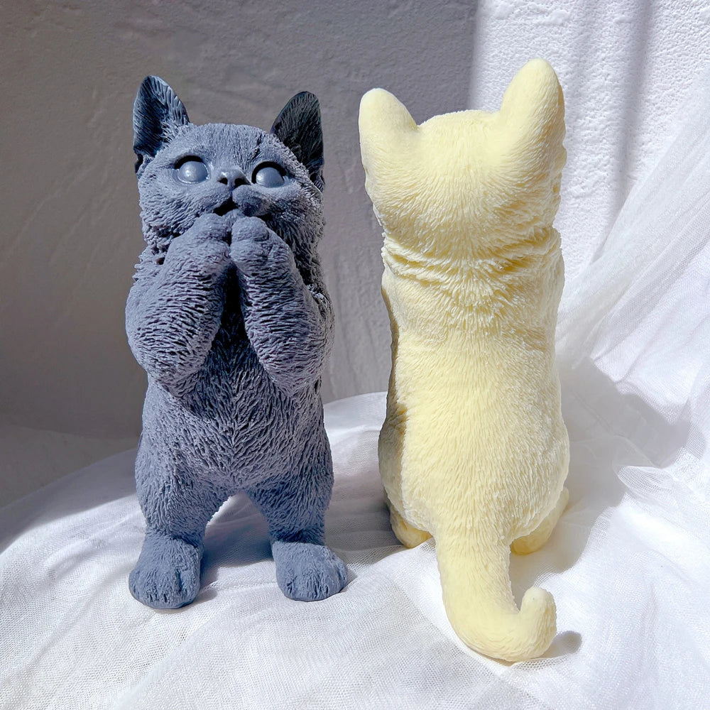 Rear of cream cat beside front-facing blue cat showing tail and fur texture