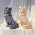 Back views showing layered Border Collie fur detail