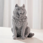 Front view of the gray fluffy dog casting