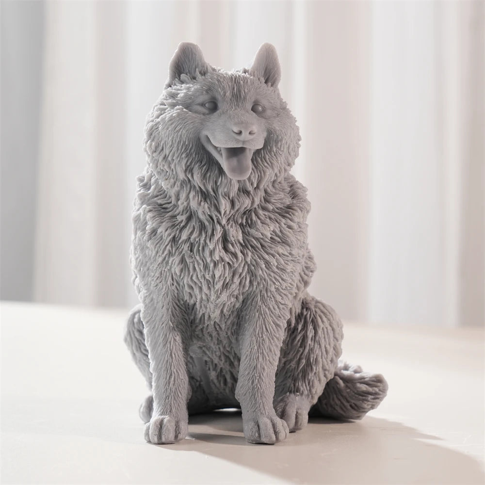 Front view of the gray fluffy dog casting