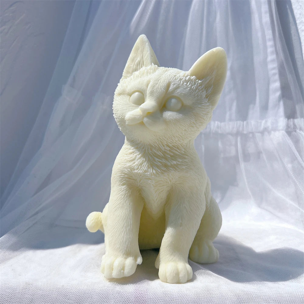 Front three-quarter view of cream cat with rounded cheeks
