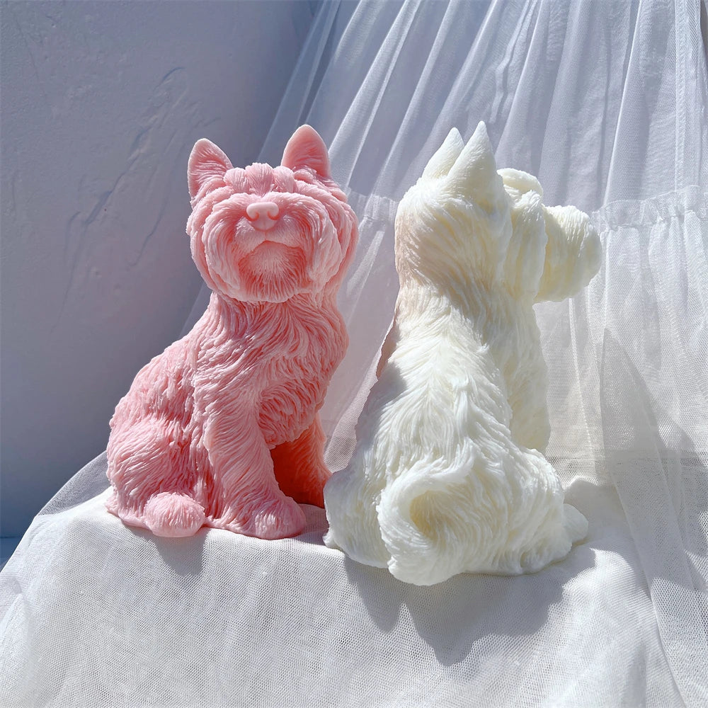 Pink terrier front view beside a cream rear view with curled tail