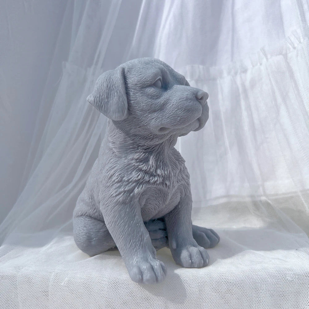 Side profile of gray seated puppy with rounded muzzle