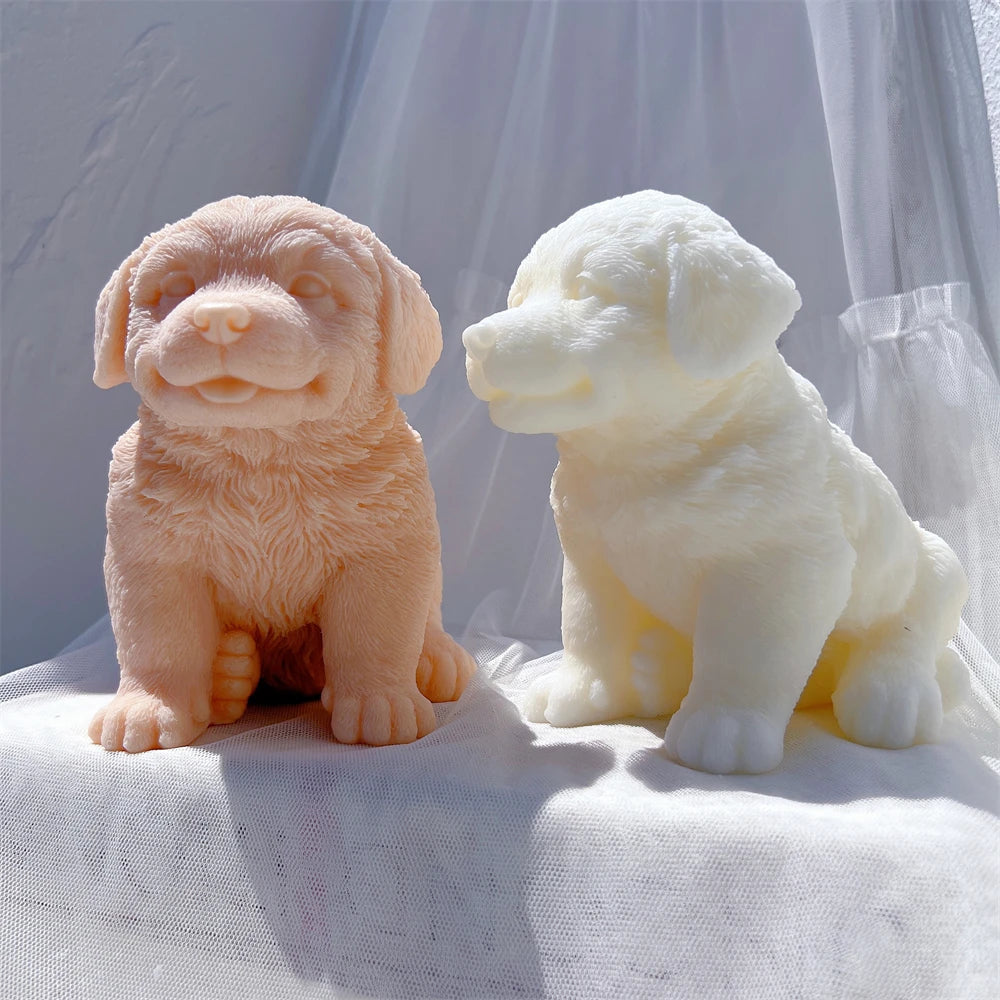 Side angle showing a broad puppy muzzle